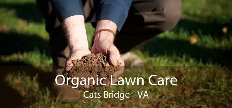 Organic Lawn Care Cats Bridge - VA