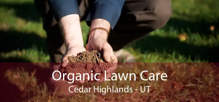 Organic Lawn Care Cedar Highlands - UT