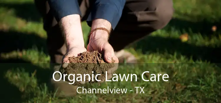 Organic Lawn Care Channelview - TX