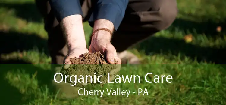 Organic Lawn Care Cherry Valley - PA