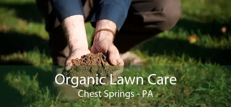 Organic Lawn Care Chest Springs - PA