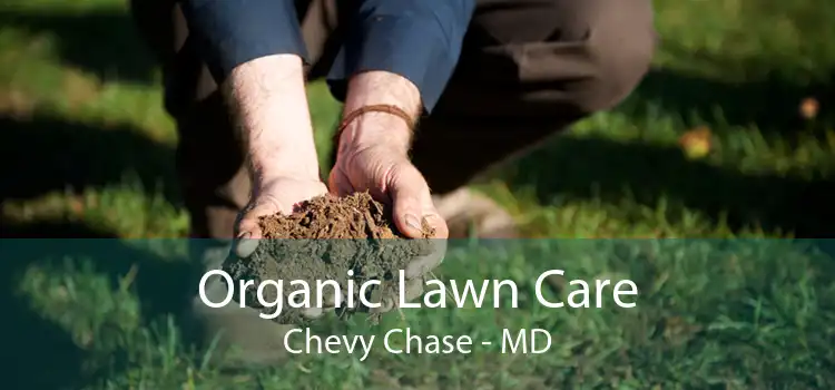  Organic Lawn Care Chevy Chase - MD