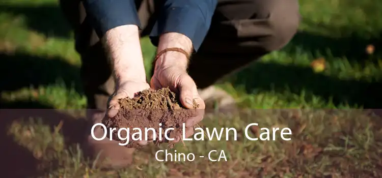 Organic Lawn Care Chino - CA
