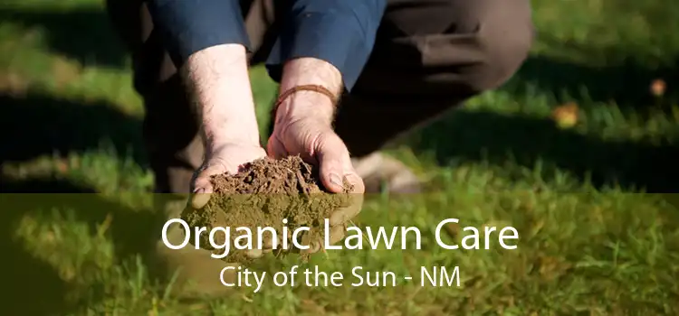 Organic Lawn Care City of the Sun - NM