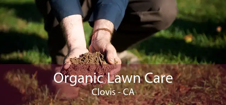  Organic Lawn Care Clovis - CA