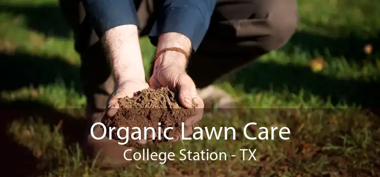 Organic Lawn Care College Station - TX