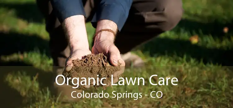 Organic Lawn Care Colorado Springs - CO