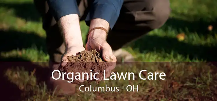 Organic Lawn Care Columbus - OH