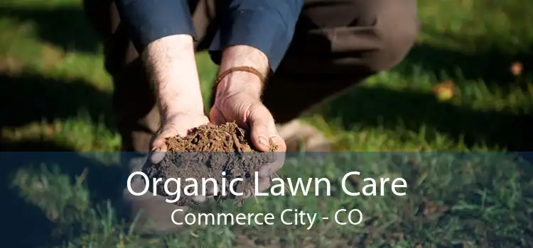 Organic Lawn Care Commerce City - CO