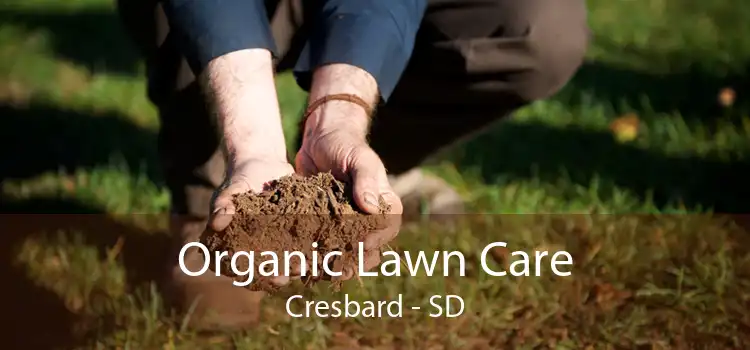 Organic Lawn Care Cresbard - SD