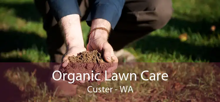 Organic Lawn Care Custer - WA