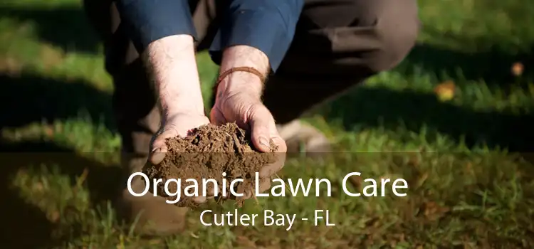 Organic Lawn Care Cutler Bay - FL