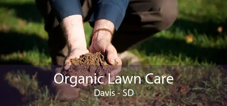 Organic Lawn Care Davis - SD