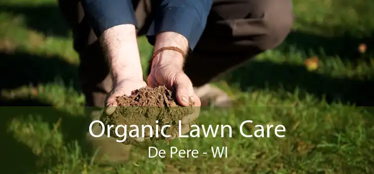 Organic Lawn Care De Pere - WI