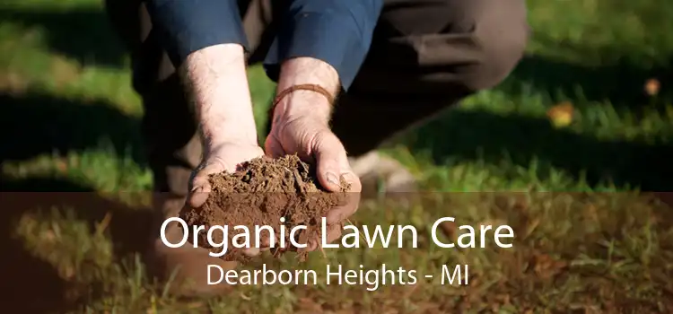 Organic Lawn Care Dearborn Heights - MI
