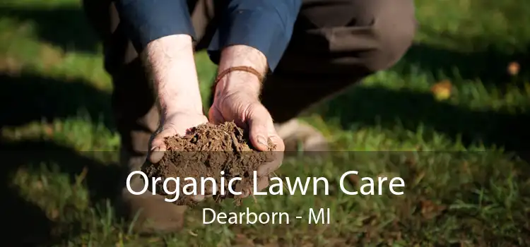 Organic Lawn Care Dearborn - MI