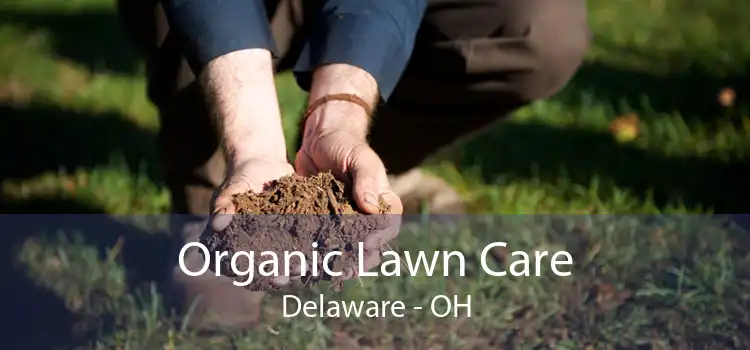 Organic Lawn Care Delaware - OH