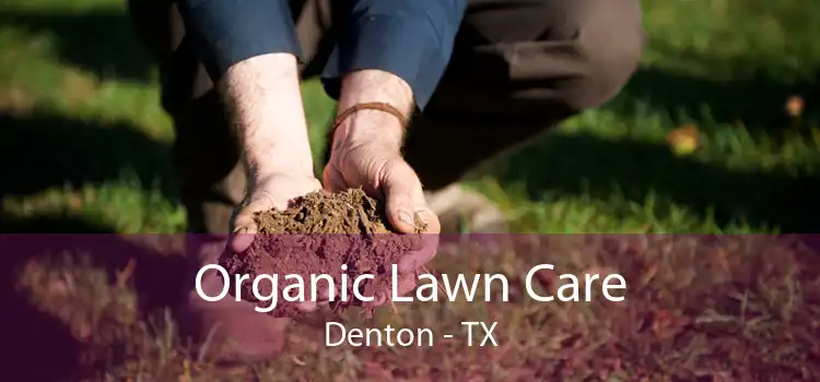 Organic Lawn Care Denton - TX