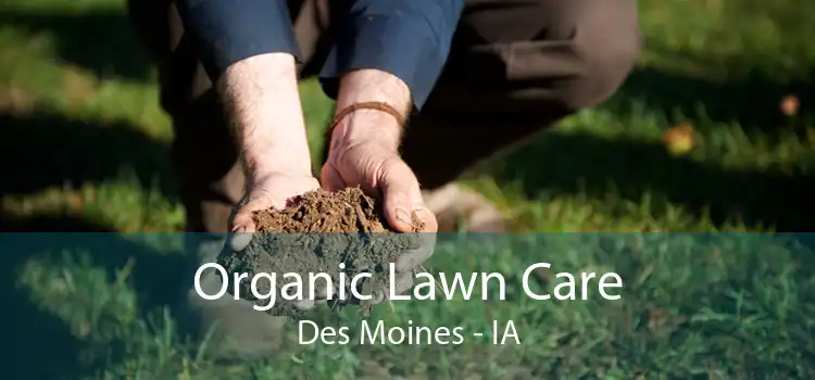 Organic Lawn Care Des Moines - IA