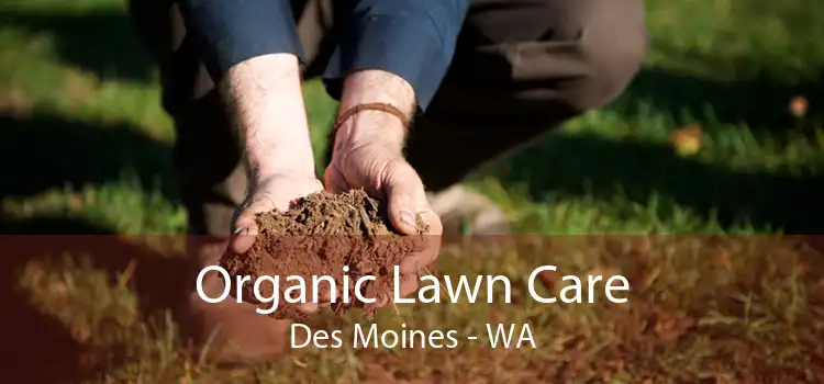 Organic Lawn Care Des Moines - WA