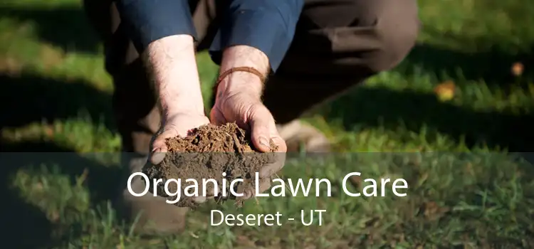 Organic Lawn Care Deseret - UT