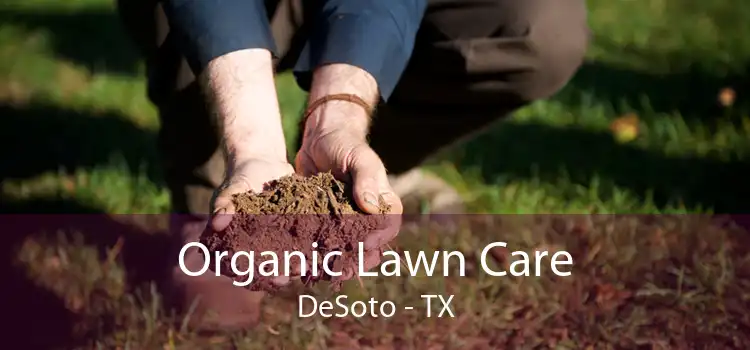 Organic Lawn Care DeSoto - TX