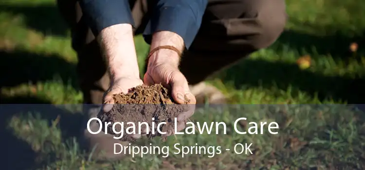 Organic Lawn Care Dripping Springs - OK