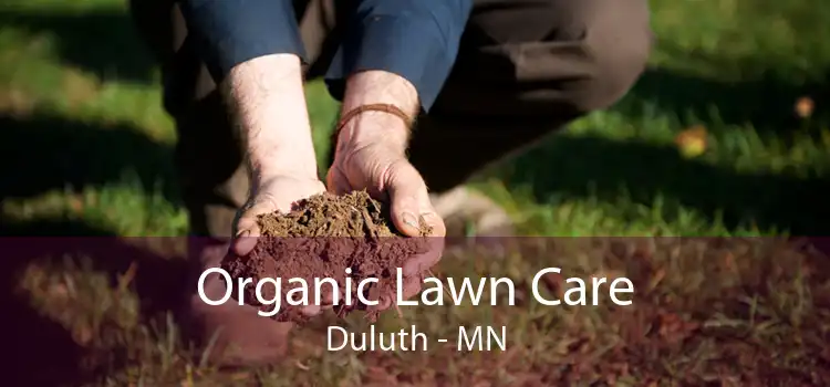 Organic Lawn Care Duluth - MN