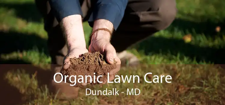  Organic Lawn Care Dundalk - MD