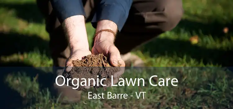 Organic Lawn Care East Barre - VT