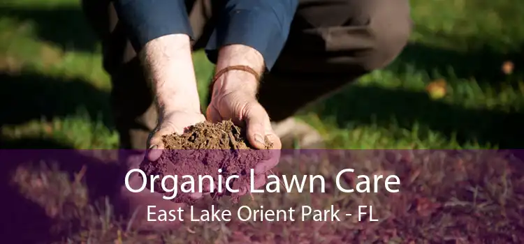 Organic Lawn Care East Lake Orient Park - FL