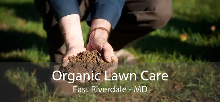Organic Lawn Care East Riverdale - MD