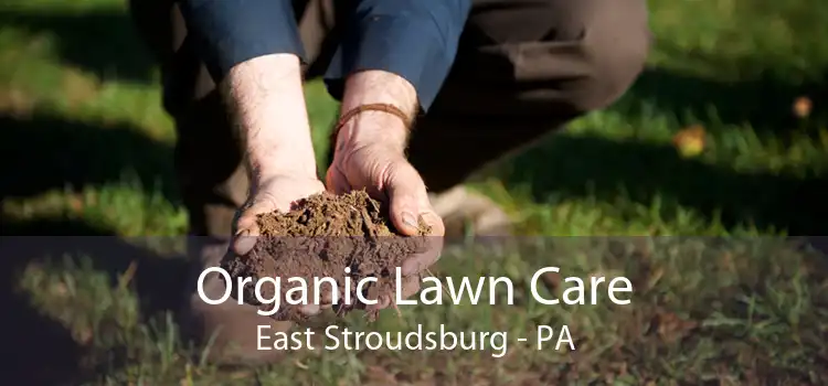 Organic Lawn Care East Stroudsburg - PA