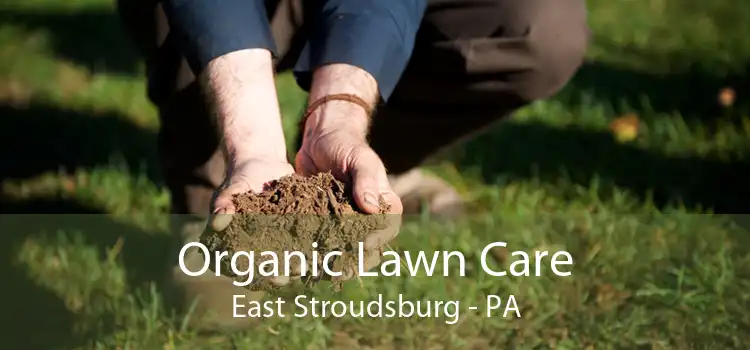 Organic Lawn Care East Stroudsburg - PA