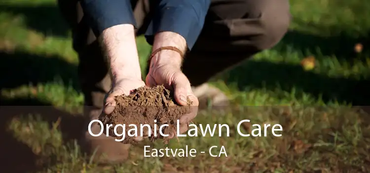 Organic Lawn Care Eastvale - CA