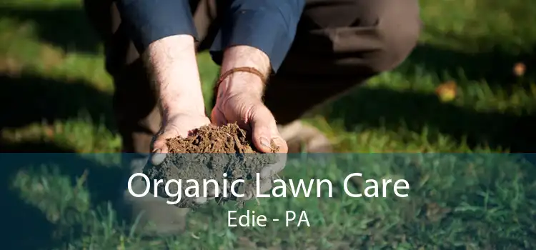 Organic Lawn Care Edie - PA