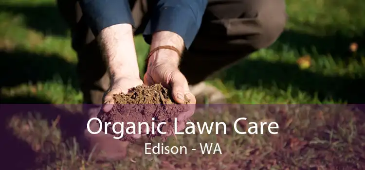 Organic Lawn Care Edison - WA