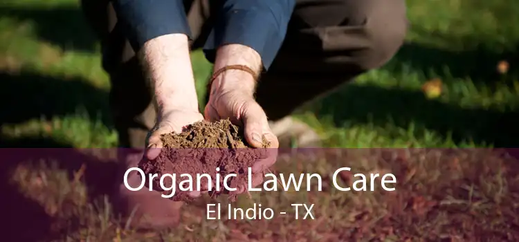 Organic Lawn Care El Indio - TX