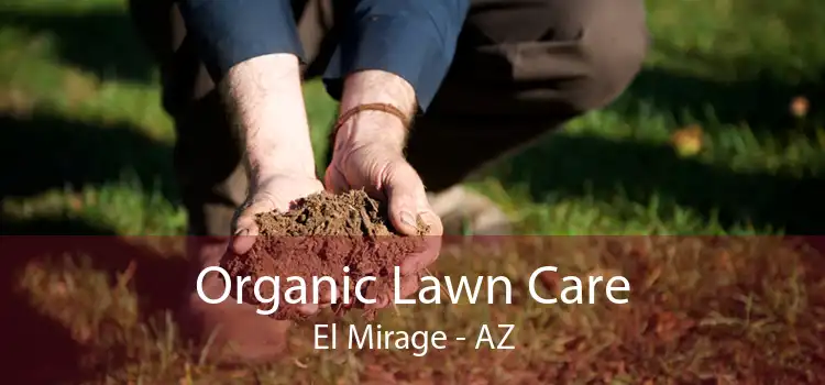 Organic Lawn Care El Mirage - AZ