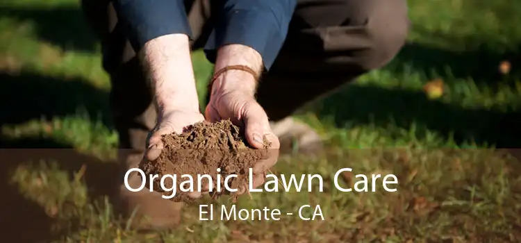 Organic Lawn Care El Monte - CA