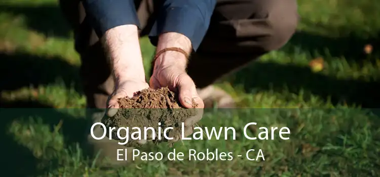 Organic Lawn Care El Paso de Robles - CA