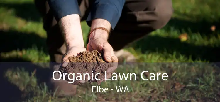 Organic Lawn Care Elbe - WA