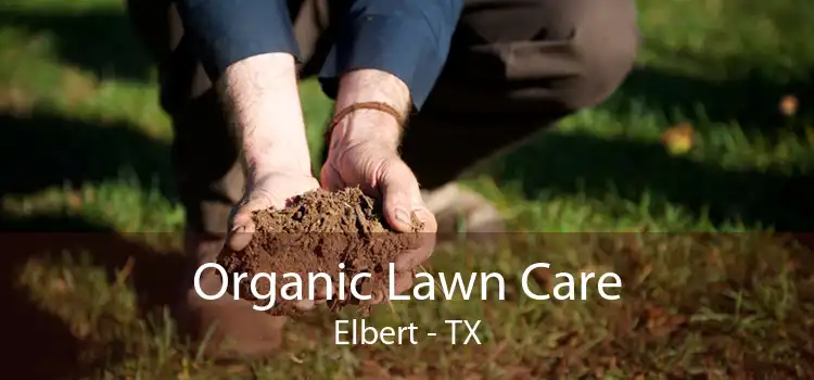 Organic Lawn Care Elbert - TX