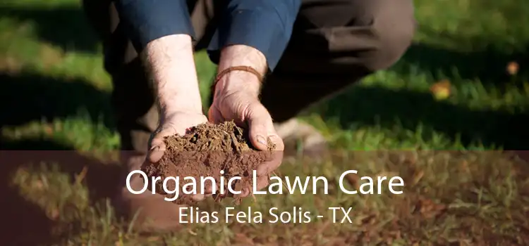 Organic Lawn Care Elias Fela Solis - TX