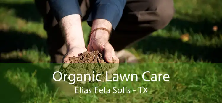  Organic Lawn Care Elias Fela Solis - TX