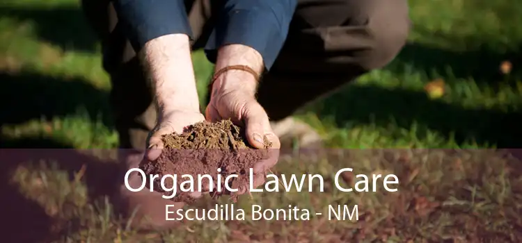 Organic Lawn Care Escudilla Bonita - NM