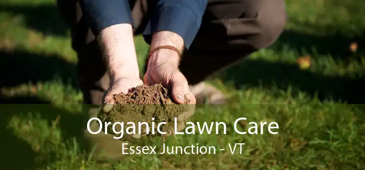 Organic Lawn Care Essex Junction - VT