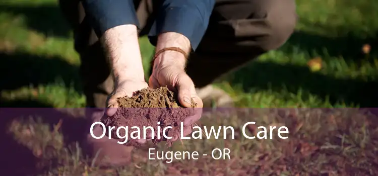 Organic Lawn Care Eugene - OR