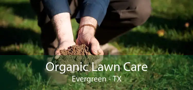 Organic Lawn Care Evergreen - TX