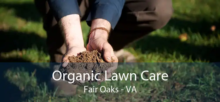 Organic Lawn Care Fair Oaks - VA